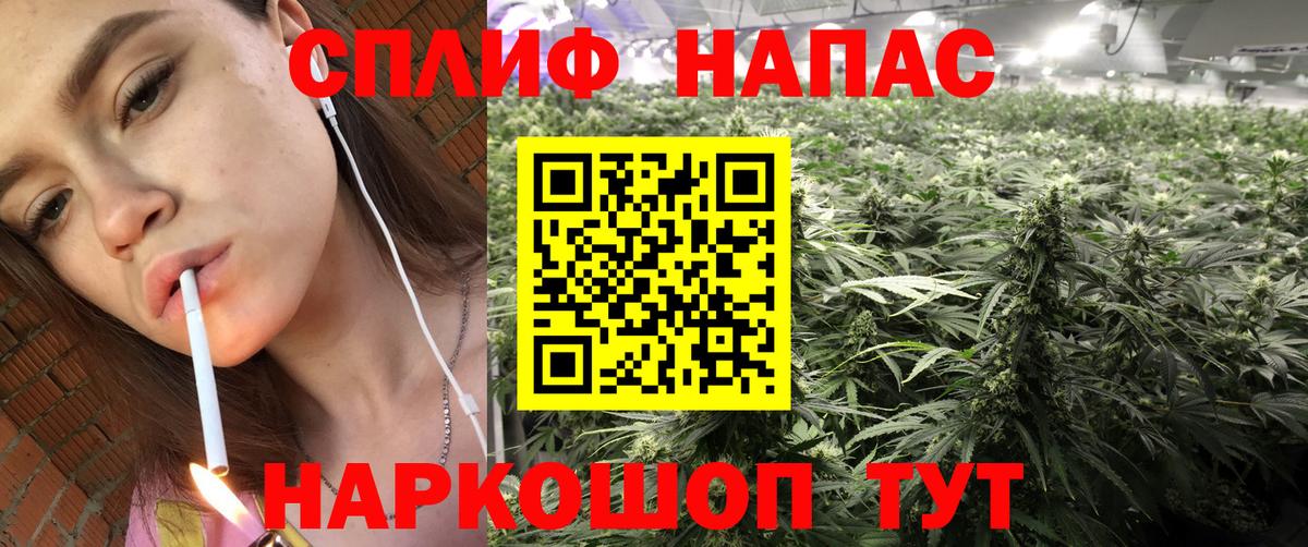Бошки Шишки конопля Новосибирск